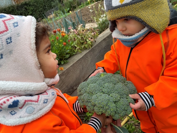 Sortie au jardin partagé 