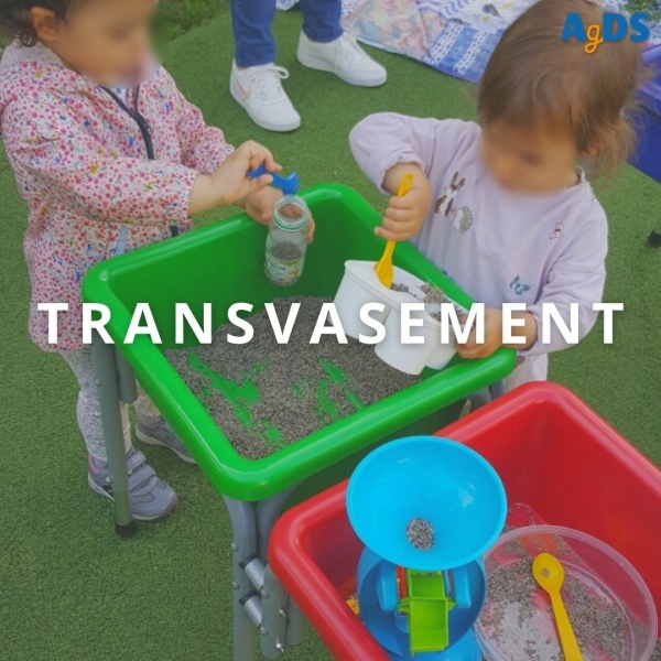 TRANSVASEMENT