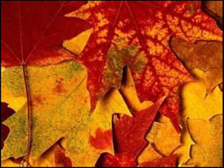 Mardi 23 Octobre 2012 