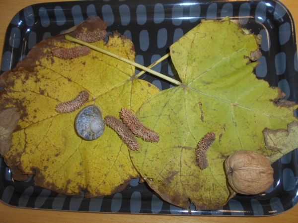 Projet faire rentrer la nature à la crèche