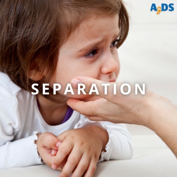 LA SEPARATION