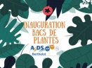 Inauguration bac de plantes 
