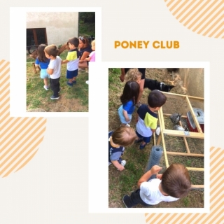 SORTIE PONEY CLUB A STE-CONSORCE